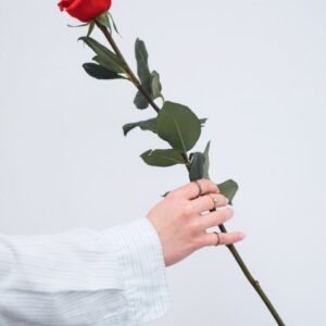 Hover Product Image